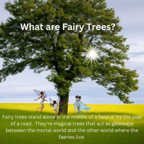 The Myth and Magic of Irish Fairy Trees Ireland Wide